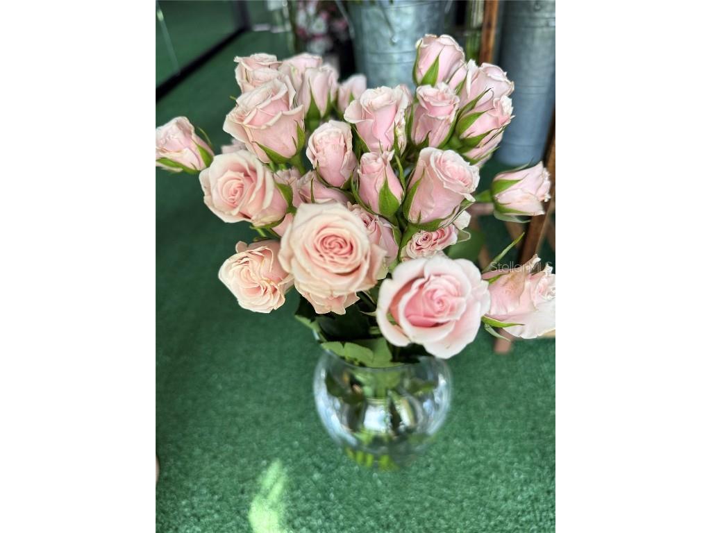 1150 Douglas Avenue #1090 Altamonte Springs FL 32714 FC312274 image2