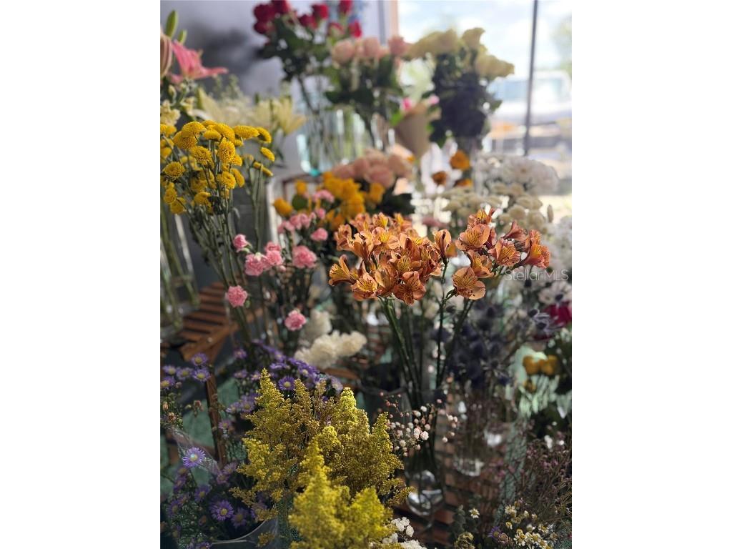 1150 Douglas Avenue #1090 Altamonte Springs FL 32714 FC312274 image3