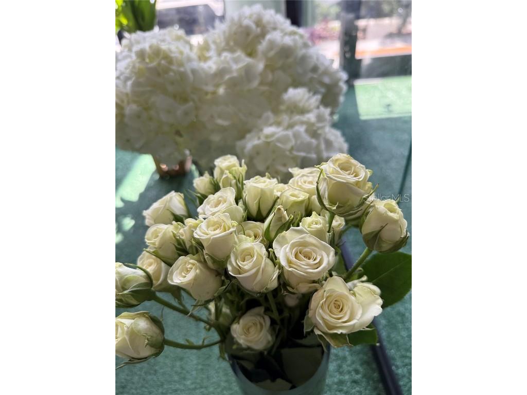 1150 Douglas Avenue #1090 Altamonte Springs FL 32714 FC312274 image4