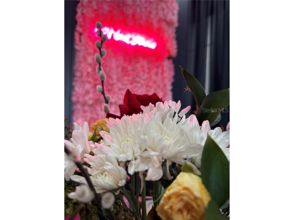 1150 Douglas Avenue #1090 Altamonte Springs FL 32714 FC312274 image5