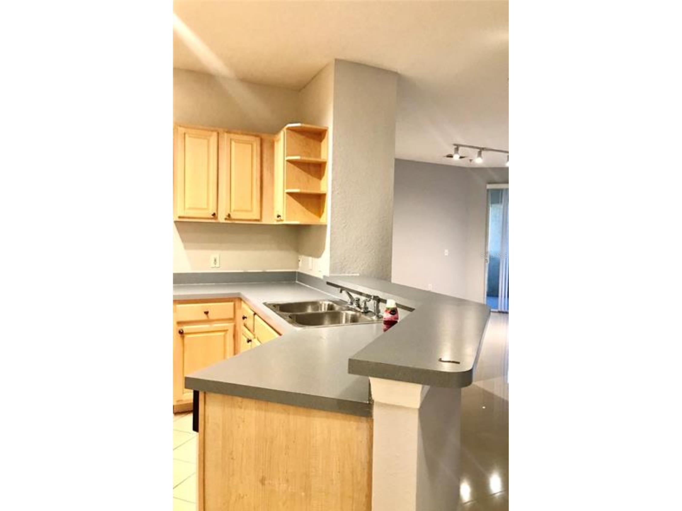 1150 Lake Shadow Circle #3102 Maitland FL 32751 S5151824 image4