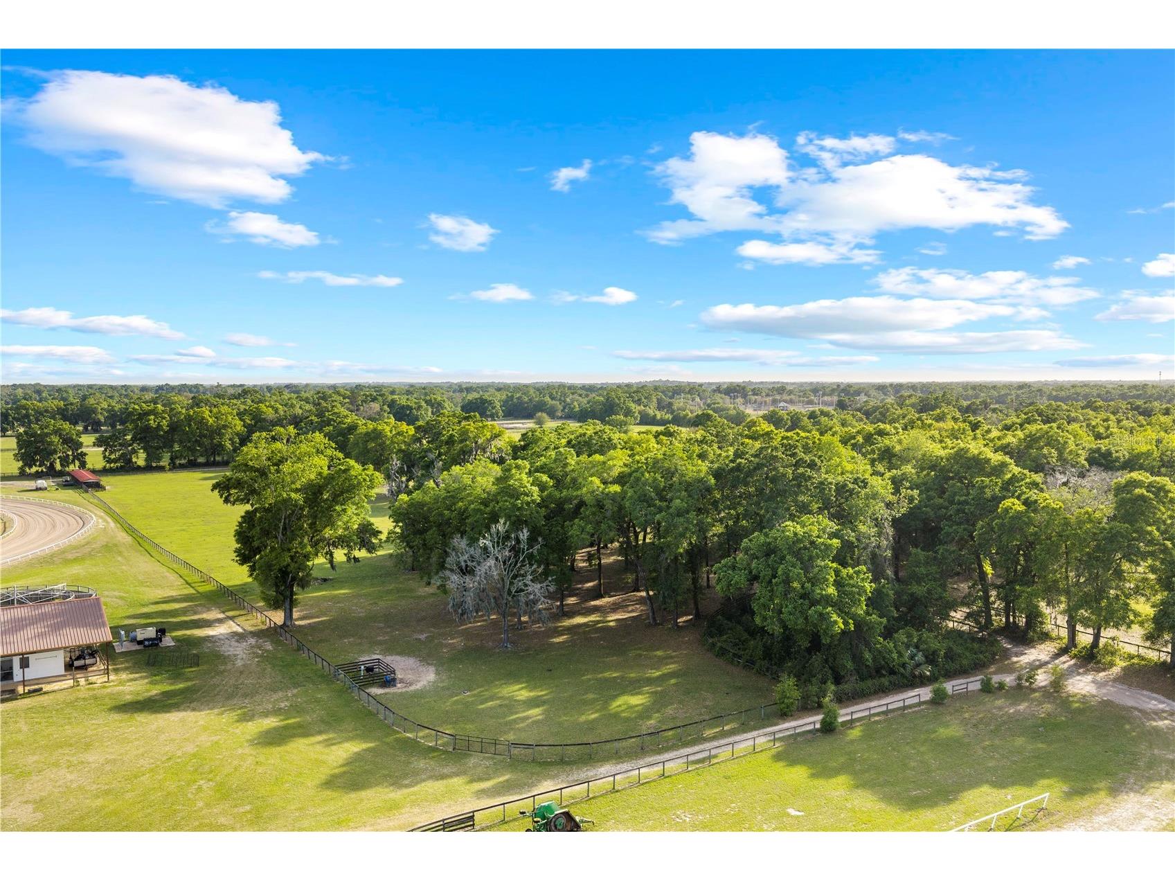 1150 NE 155 Place Citra FL 32113 OM721116 image3