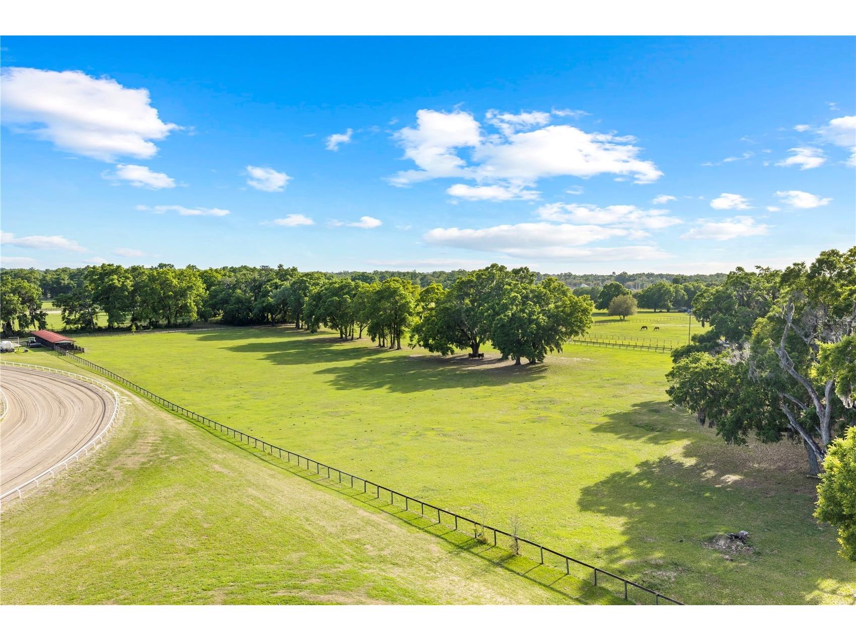 1150 NE 155 Place Citra FL 32113 OM721116 image7