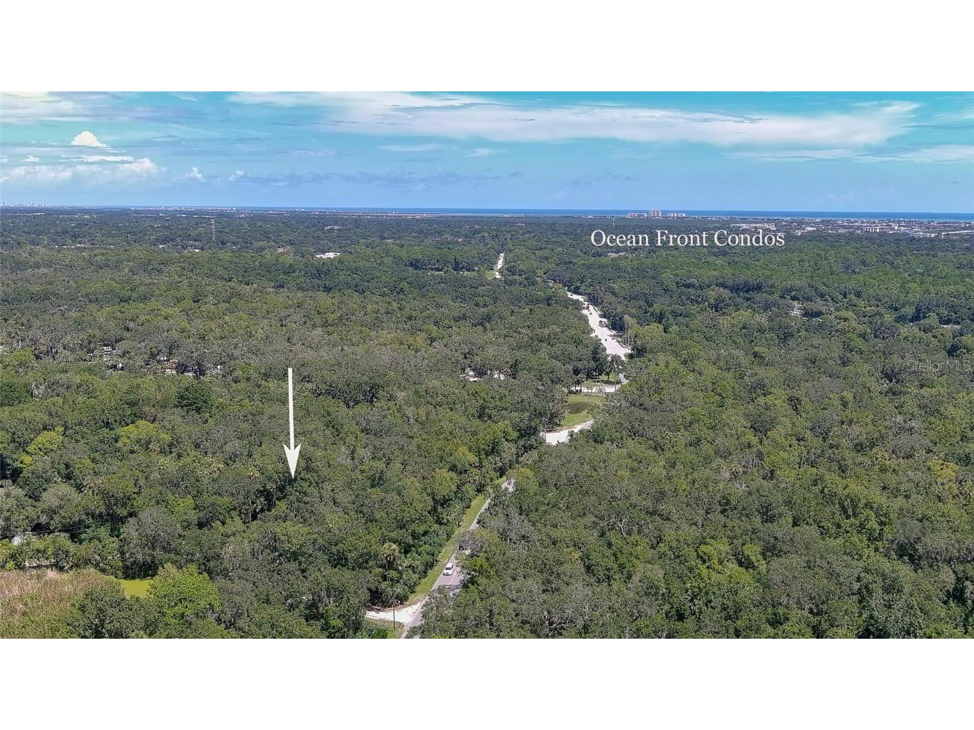 1150 Old Mission Road New Smyrna Beach FL 32168 V4944544 image1