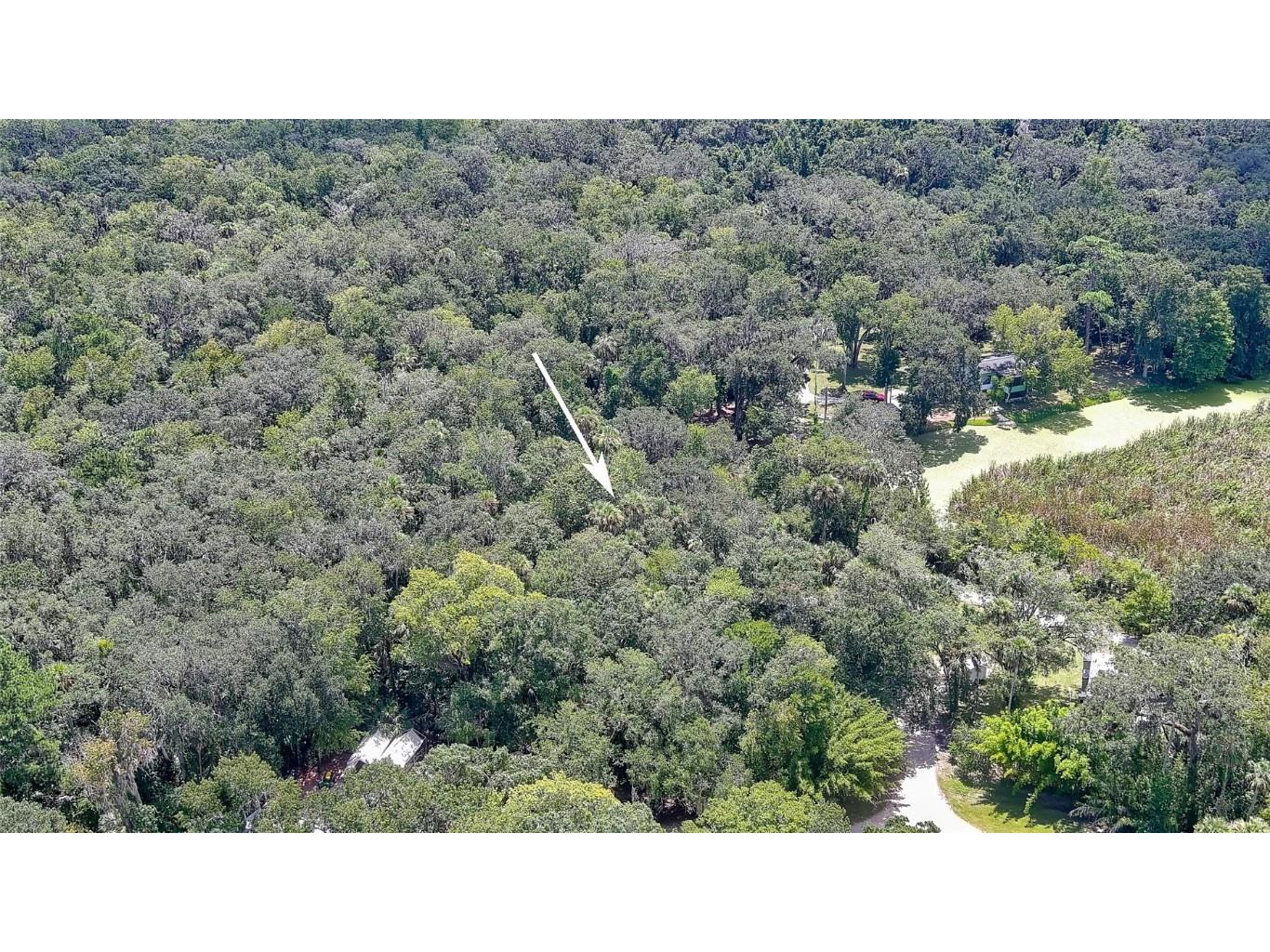 1150 Old Mission Road New Smyrna Beach FL 32168 V4944544 image11