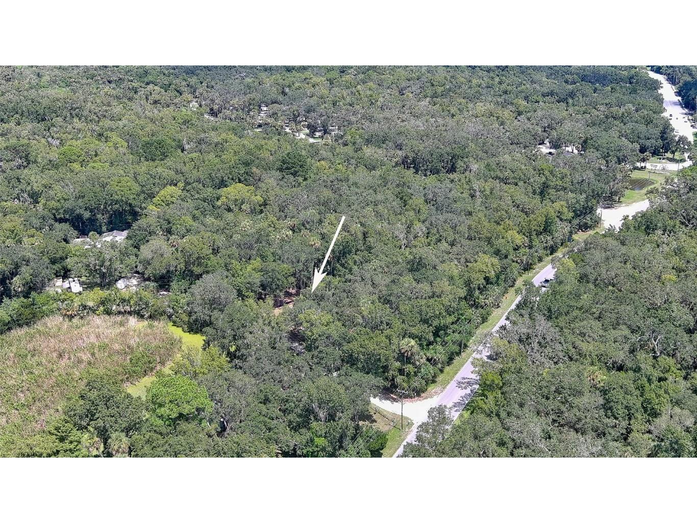 1150 Old Mission Road New Smyrna Beach FL 32168 V4944544 image12