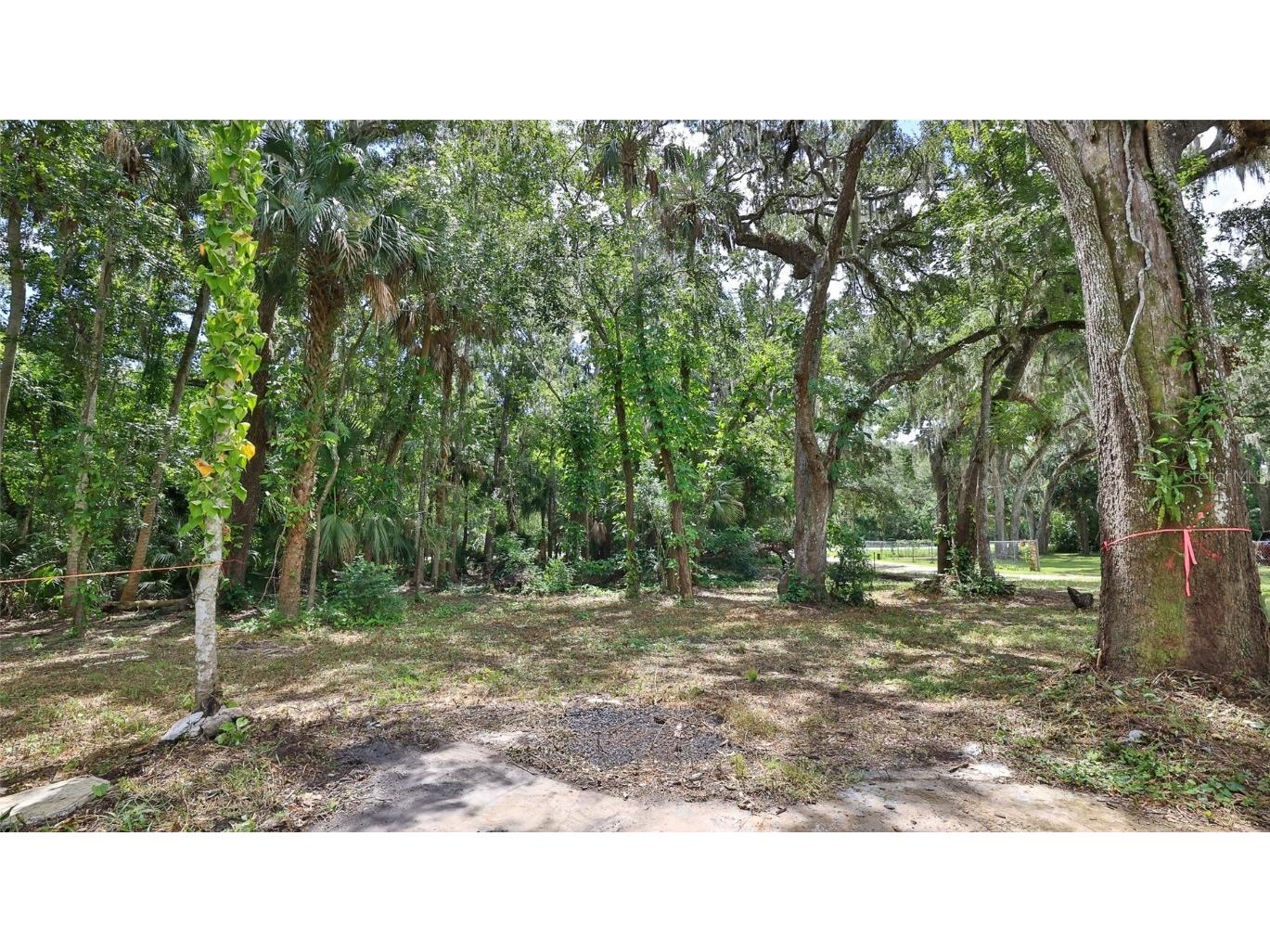 1150 Old Mission Road New Smyrna Beach FL 32168 V4944544 image7