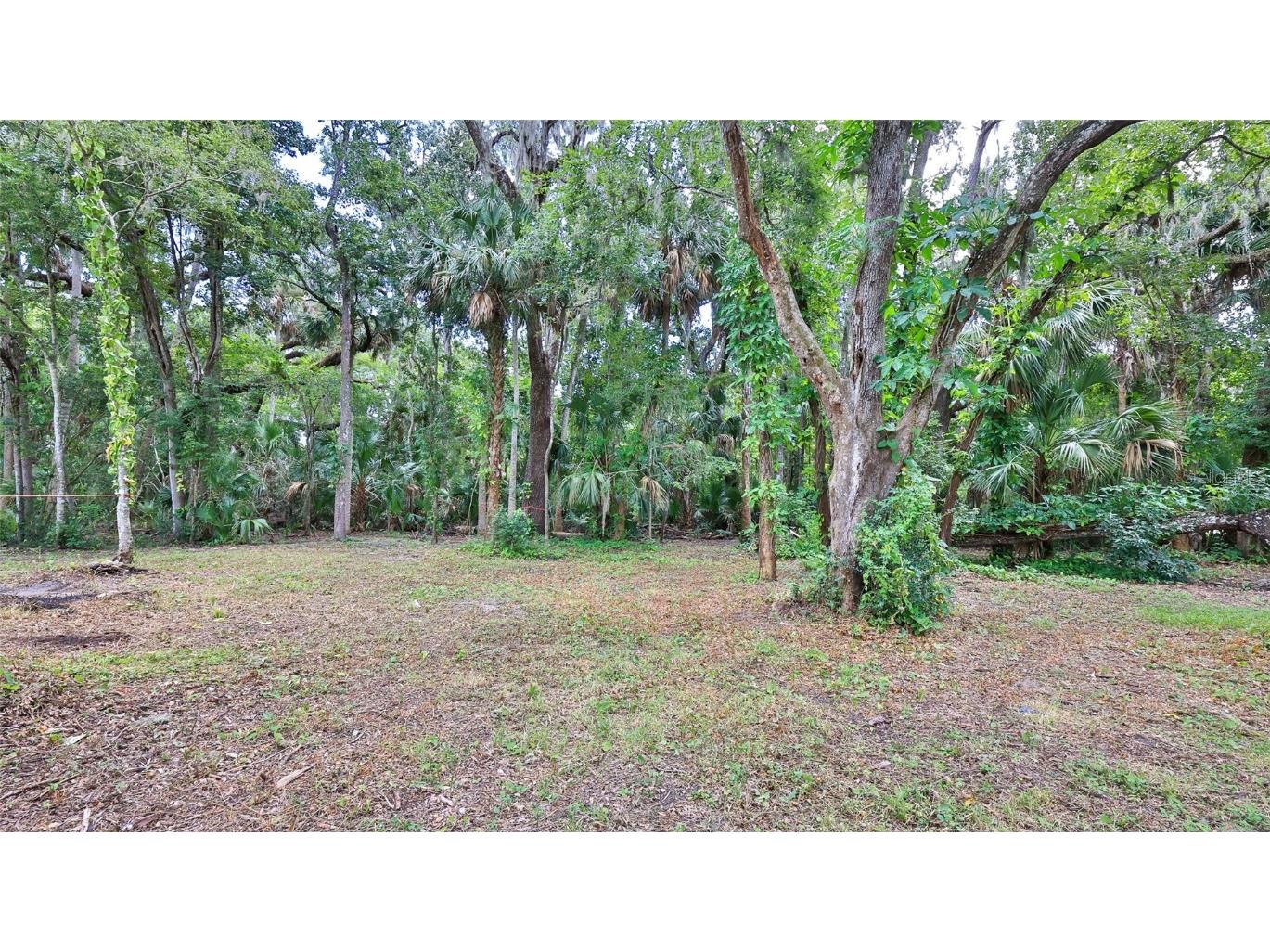 1150 Old Mission Road New Smyrna Beach FL 32168 V4944544 image9