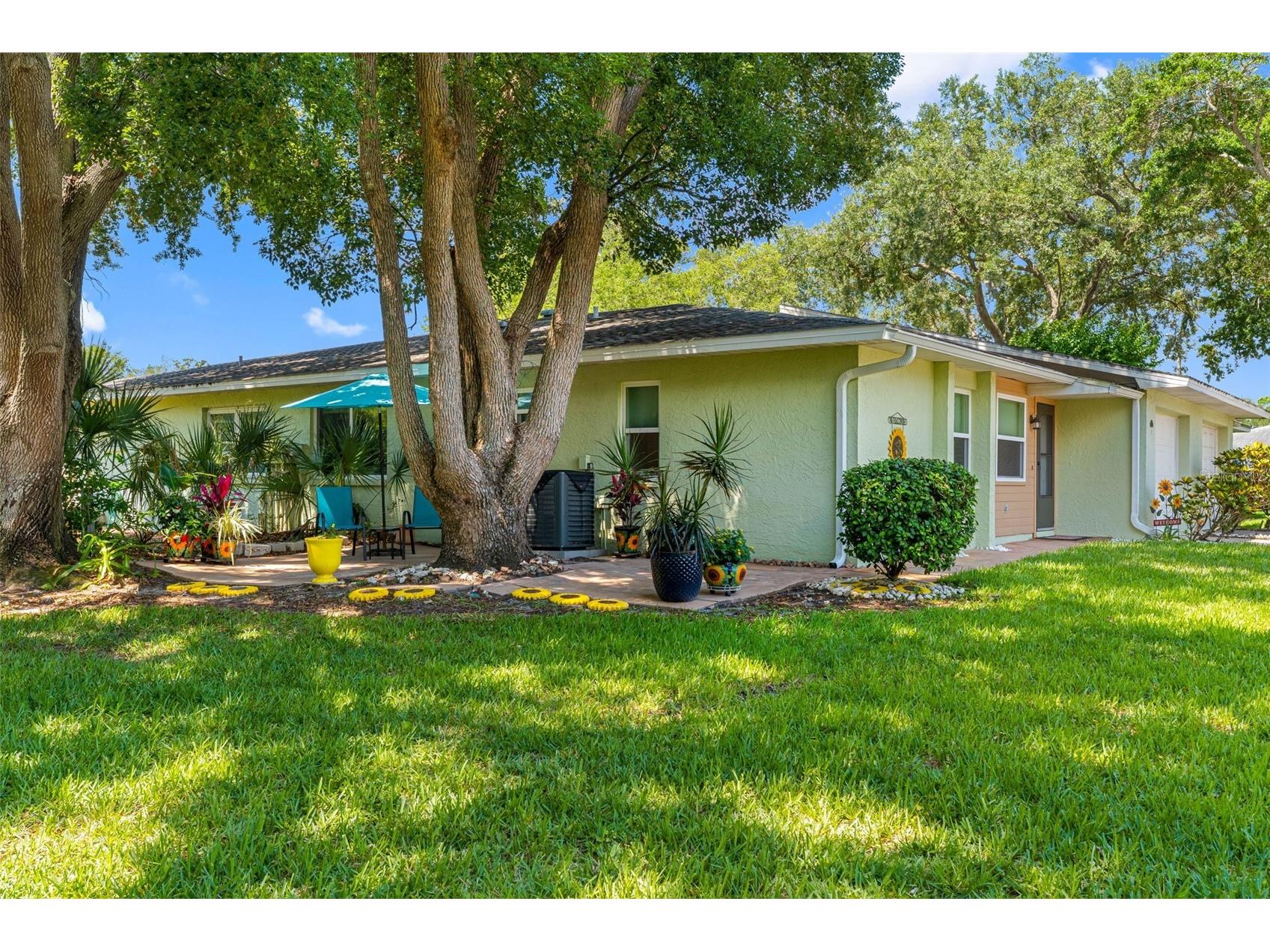 1150 Orange Tree Circle E #D Palm Harbor FL 34684 TB8510105 image1