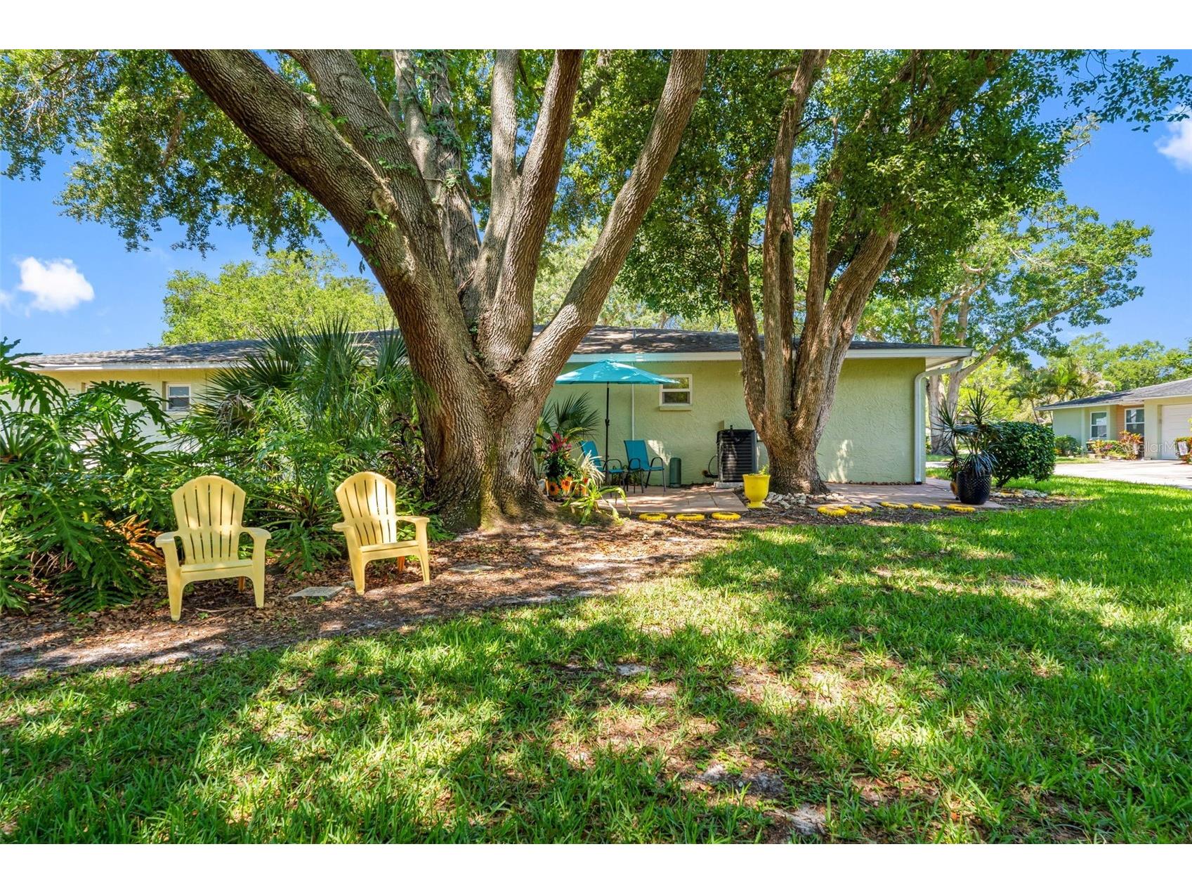1150 Orange Tree Circle E #D Palm Harbor FL 34684 TB8510105 image16
