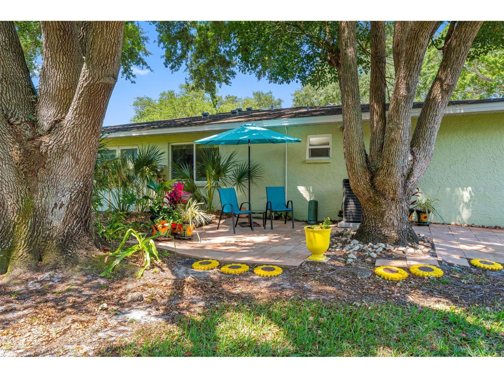 1150 Orange Tree Circle E #D Palm Harbor FL 34684 TB8510105 image17