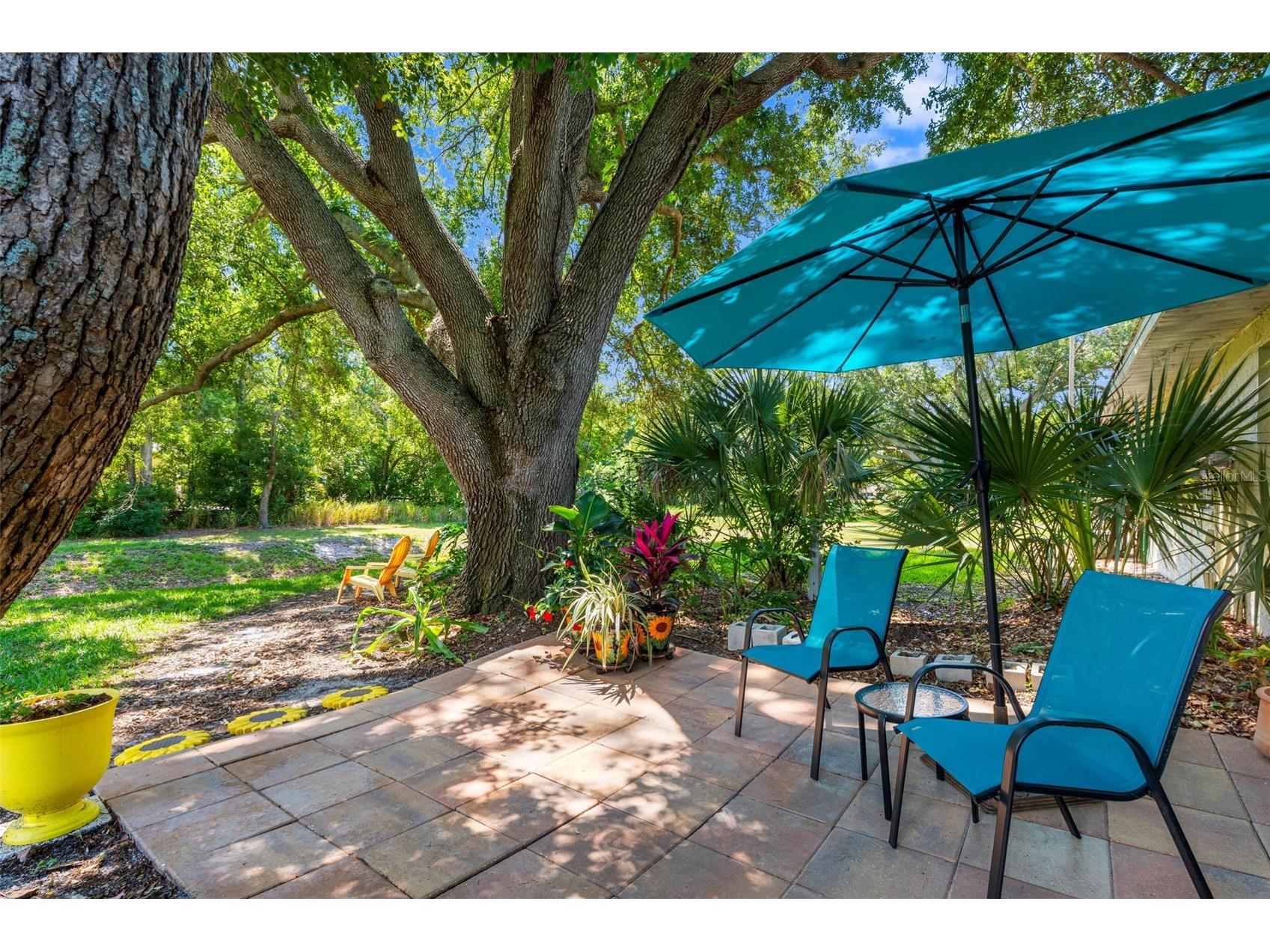 1150 Orange Tree Circle E #D Palm Harbor FL 34684 TB8510105 image18