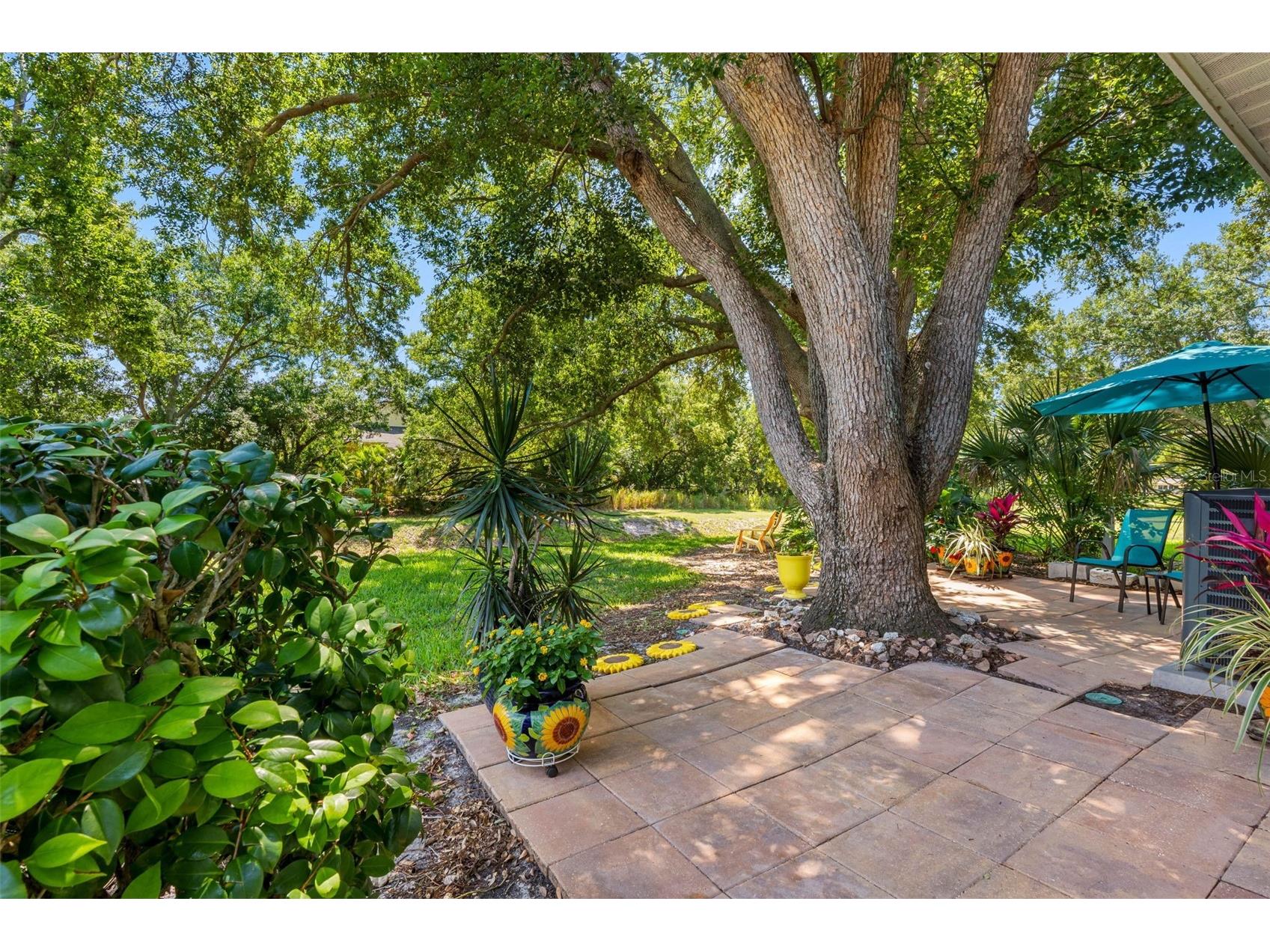 1150 Orange Tree Circle E #D Palm Harbor FL 34684 TB8510105 image19