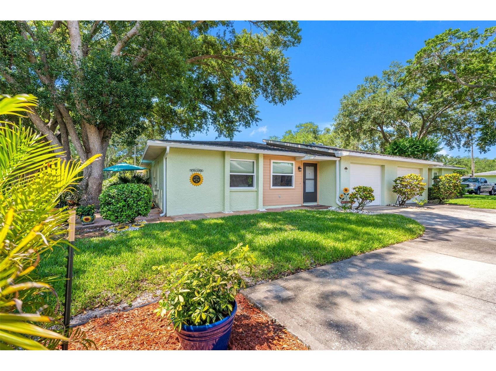 1150 Orange Tree Circle E #D Palm Harbor FL 34684 TB8510105 image2