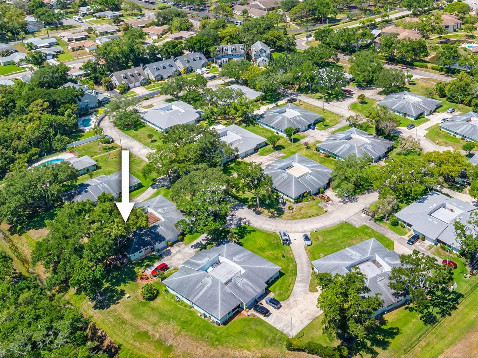 1150 Orange Tree Circle E #D Palm Harbor FL 34684 TB8510105 image22