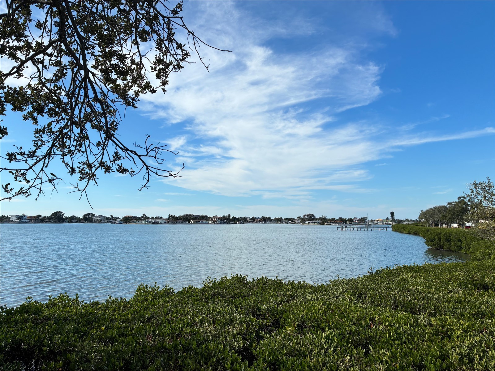 1150 Rue Des Reines #2B South Pasadena FL 33707 TB8430801 image40