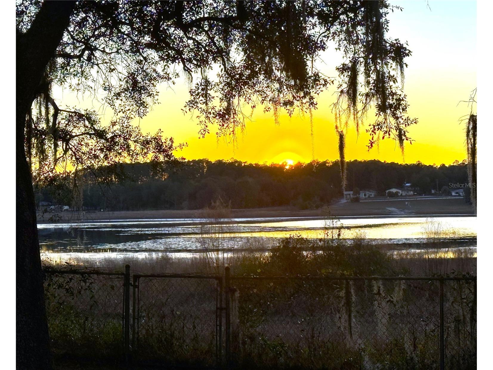 1150 SW Shorewood Drive Dunnellon FL 34431 - Tiger Lake OM717078 image1