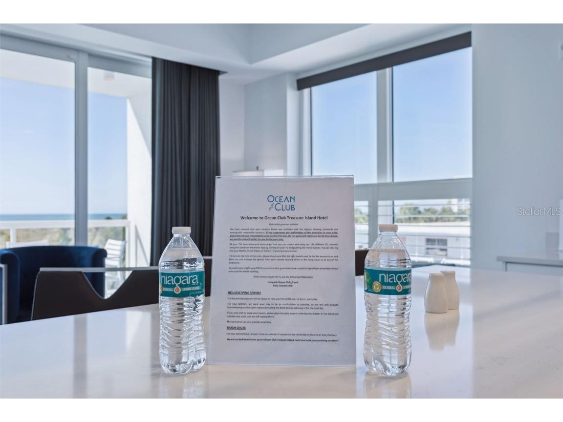 11500 Gulf Boulevard #313 Treasure Island FL 33706 TB8449033 image8