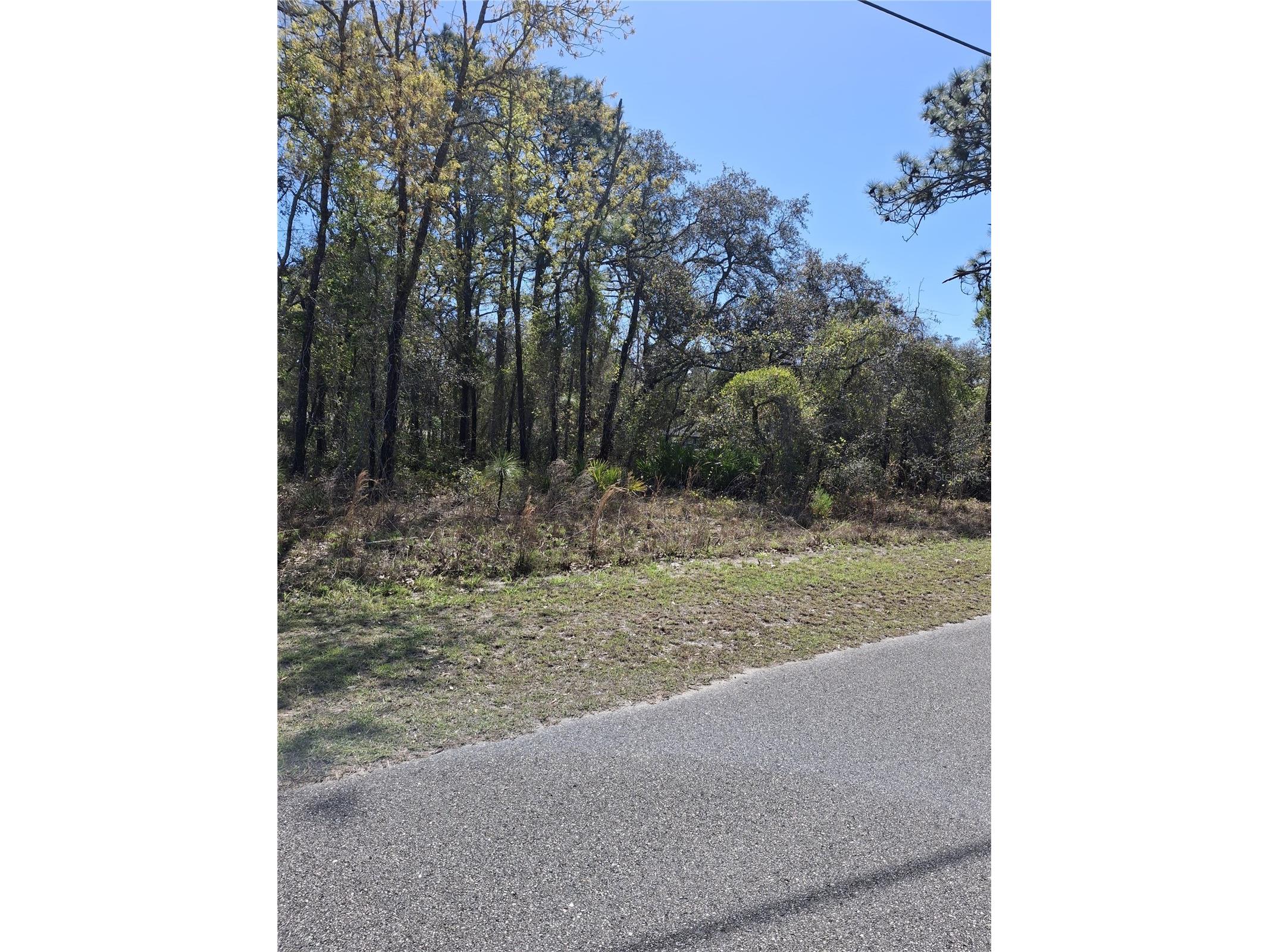 11500 Lomita Wren Road Weeki Wachee FL 34614 TB8494119 image1