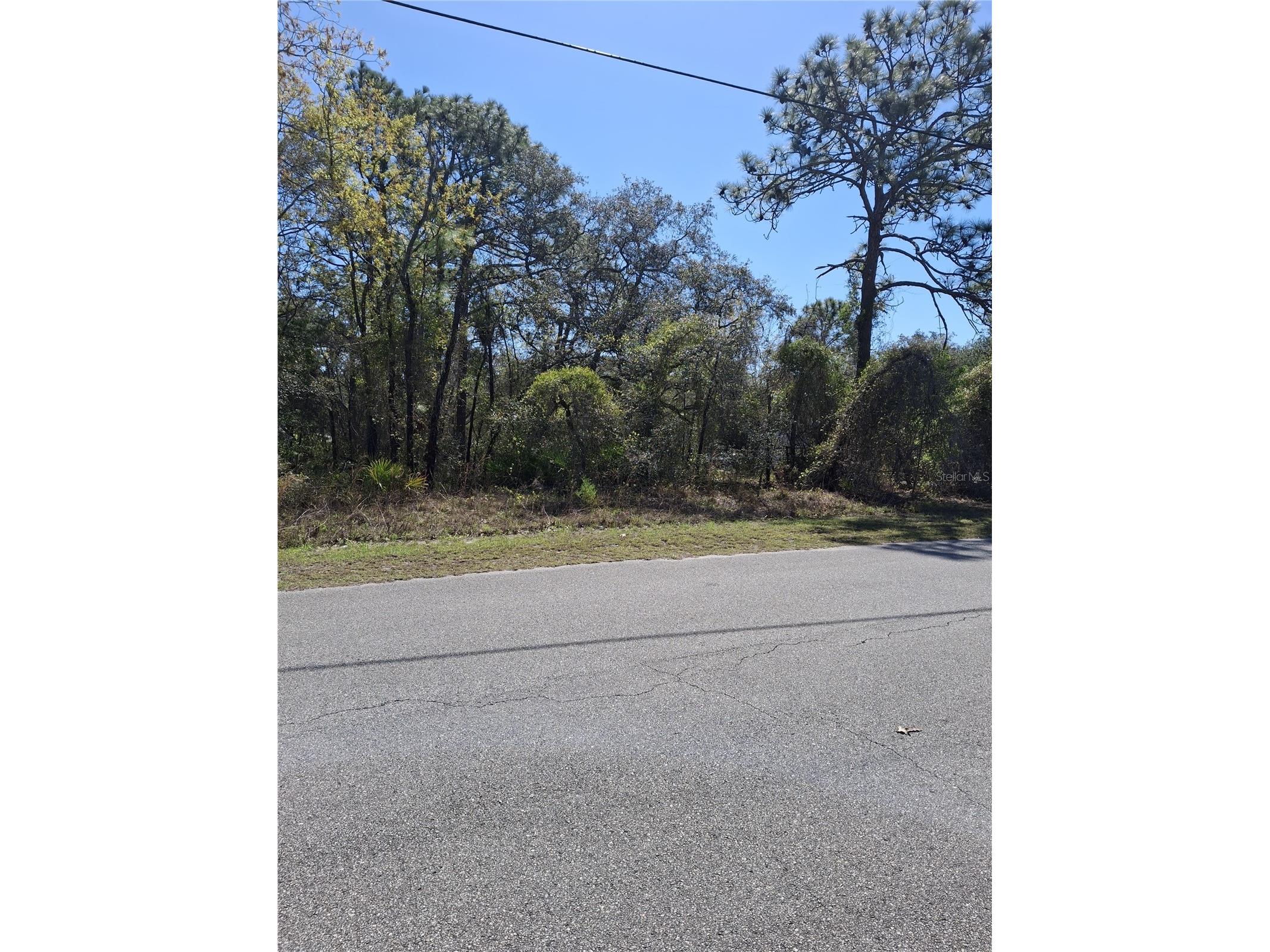 11500 Lomita Wren Road Weeki Wachee FL 34614 TB8494119 image2