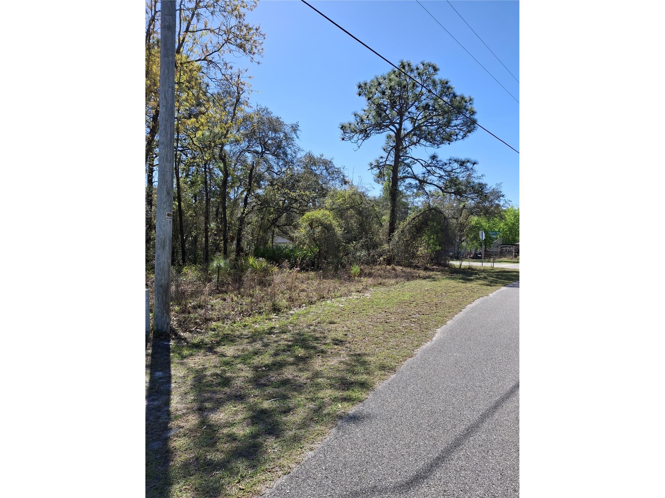 11500 Lomita Wren Road Weeki Wachee FL 34614 TB8494119 image3