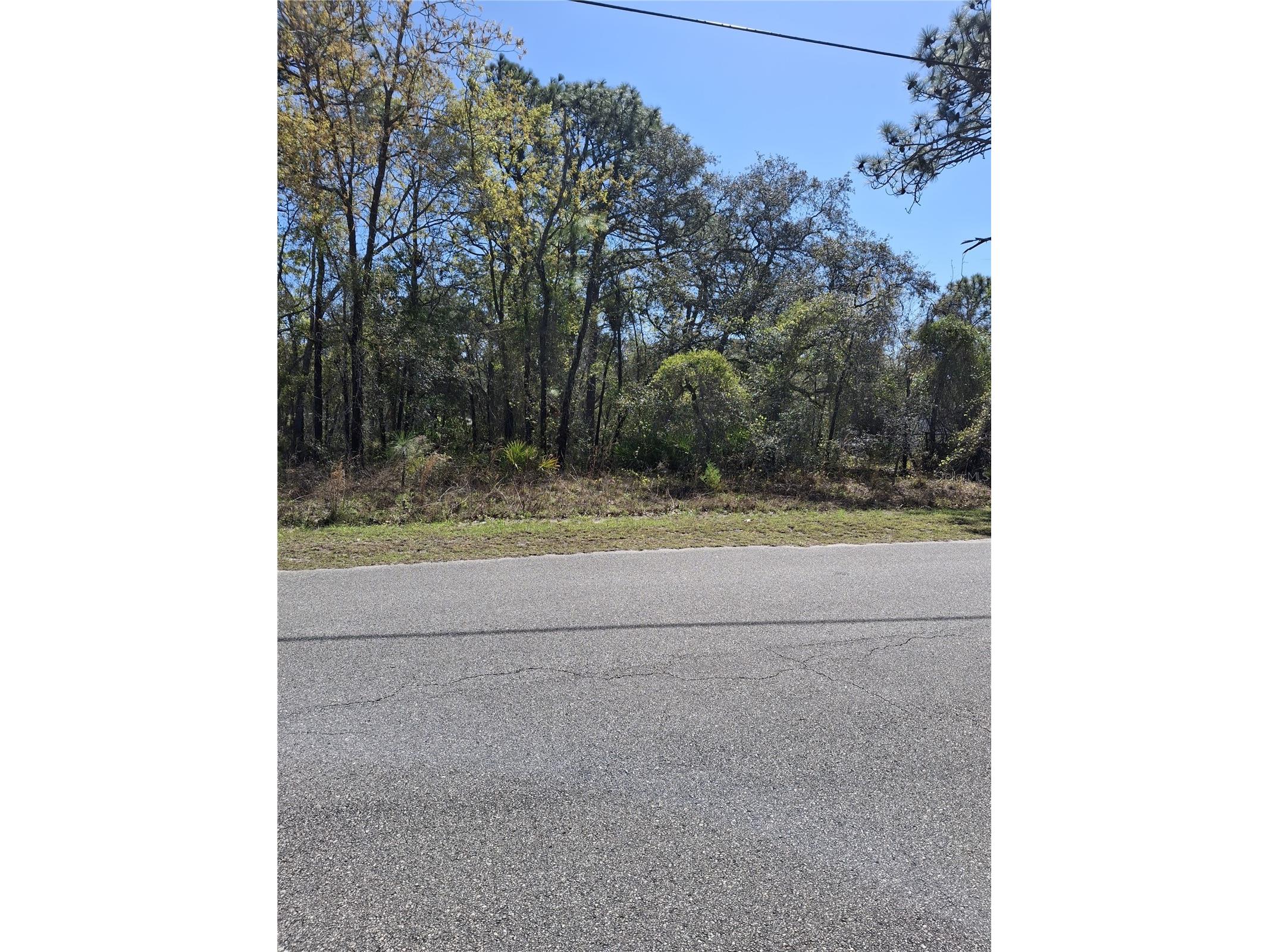 11500 Lomita Wren Road Weeki Wachee FL 34614 TB8494119 image4
