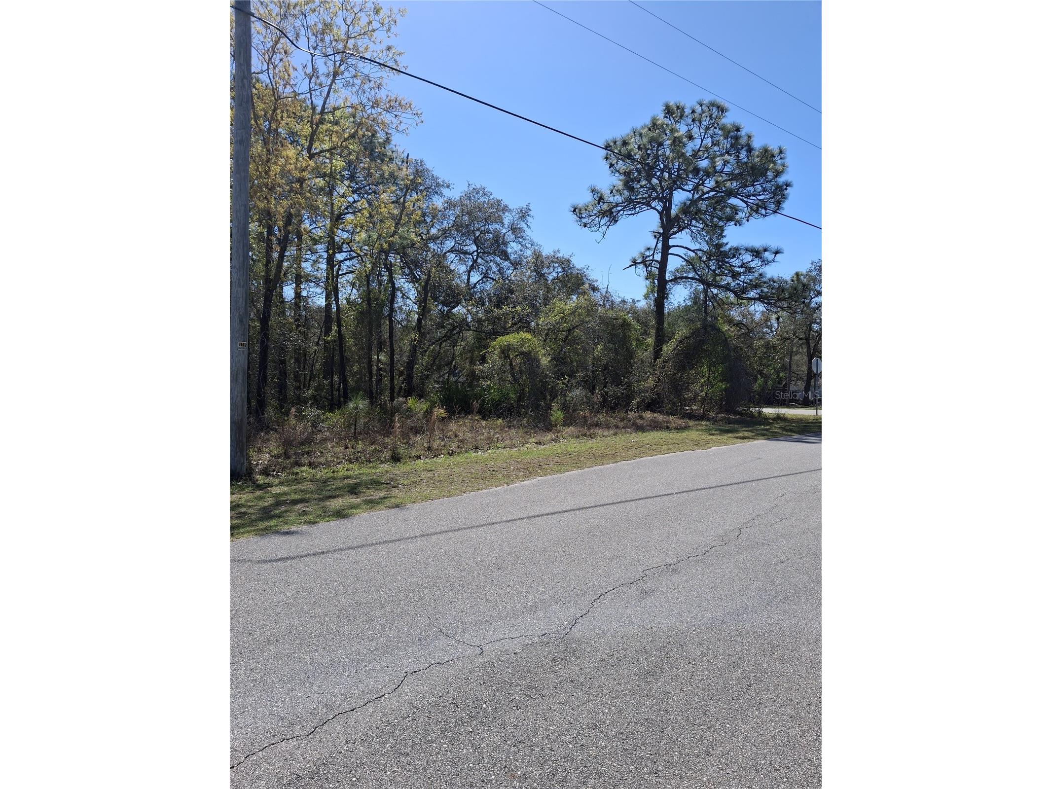 11500 Lomita Wren Road Weeki Wachee FL 34614 TB8494119 image5