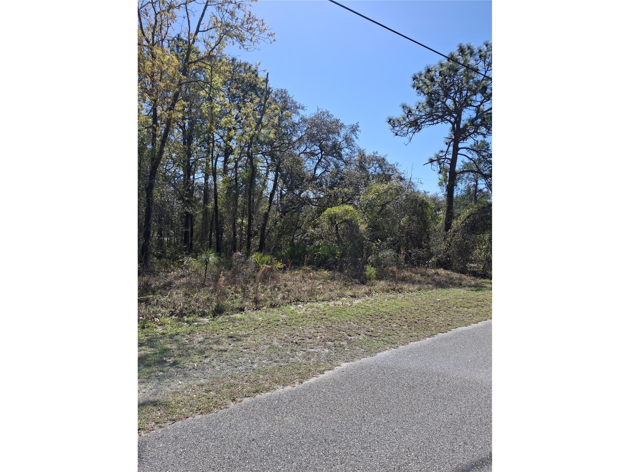 11500 Lomita Wren Road Weeki Wachee FL 34614 TB8494119 image6