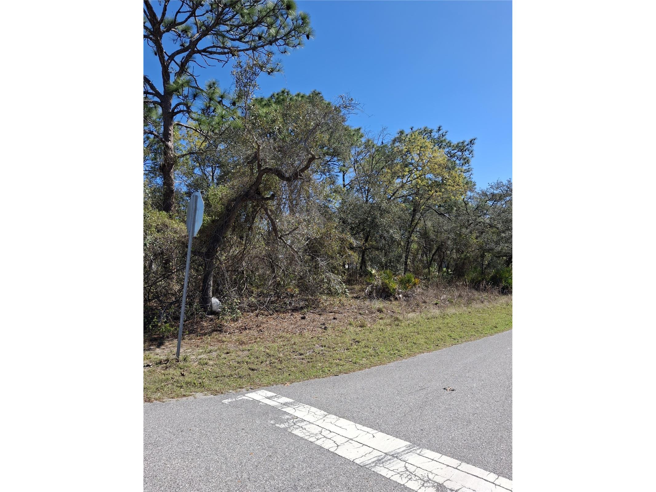 11500 Lomita Wren Road Weeki Wachee FL 34614 TB8494119 image7