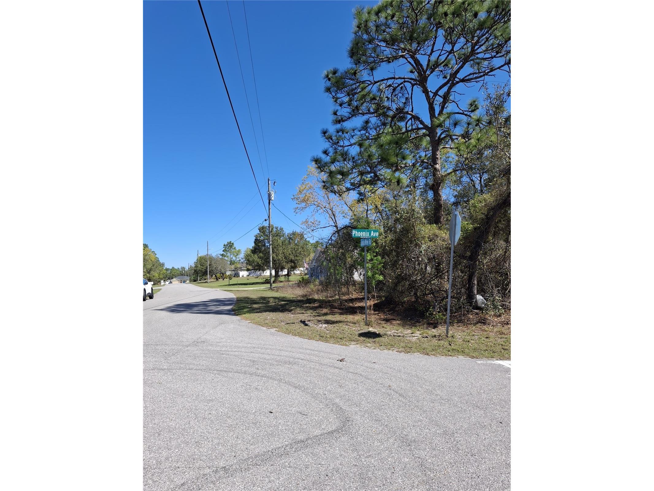 11500 Lomita Wren Road Weeki Wachee FL 34614 TB8494119 image8
