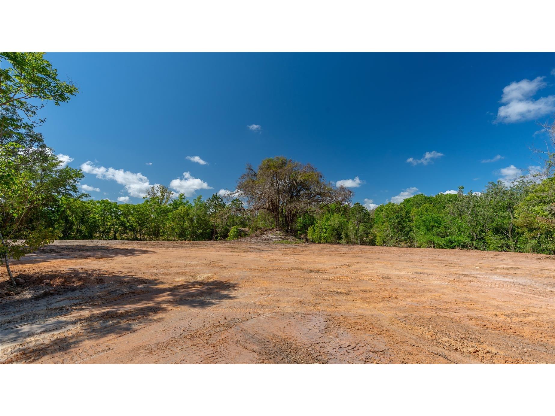 11500 SE 92nd Court Belleview FL 34420 OM722109 image11
