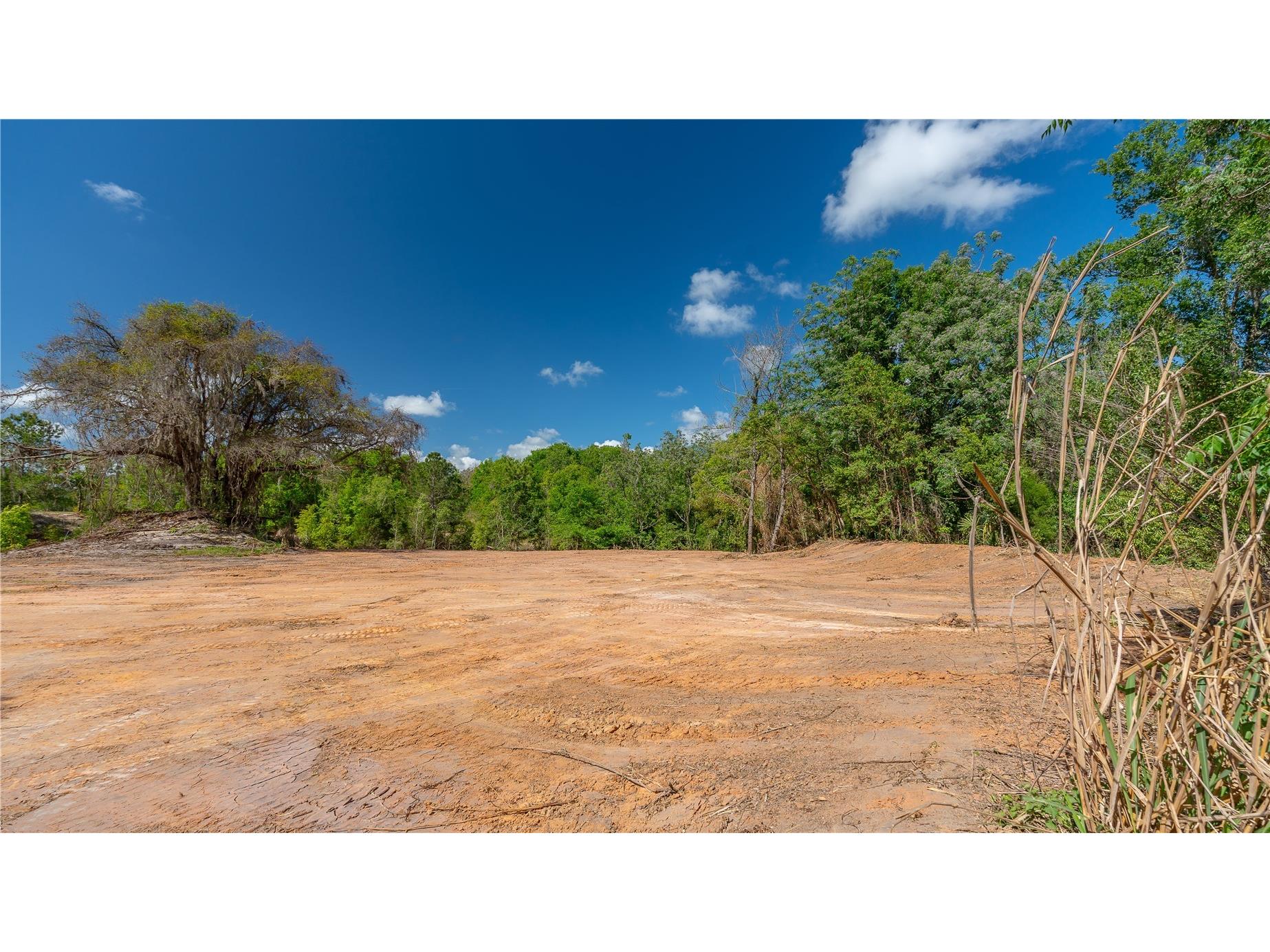 11500 SE 92nd Court Belleview FL 34420 OM722109 image12