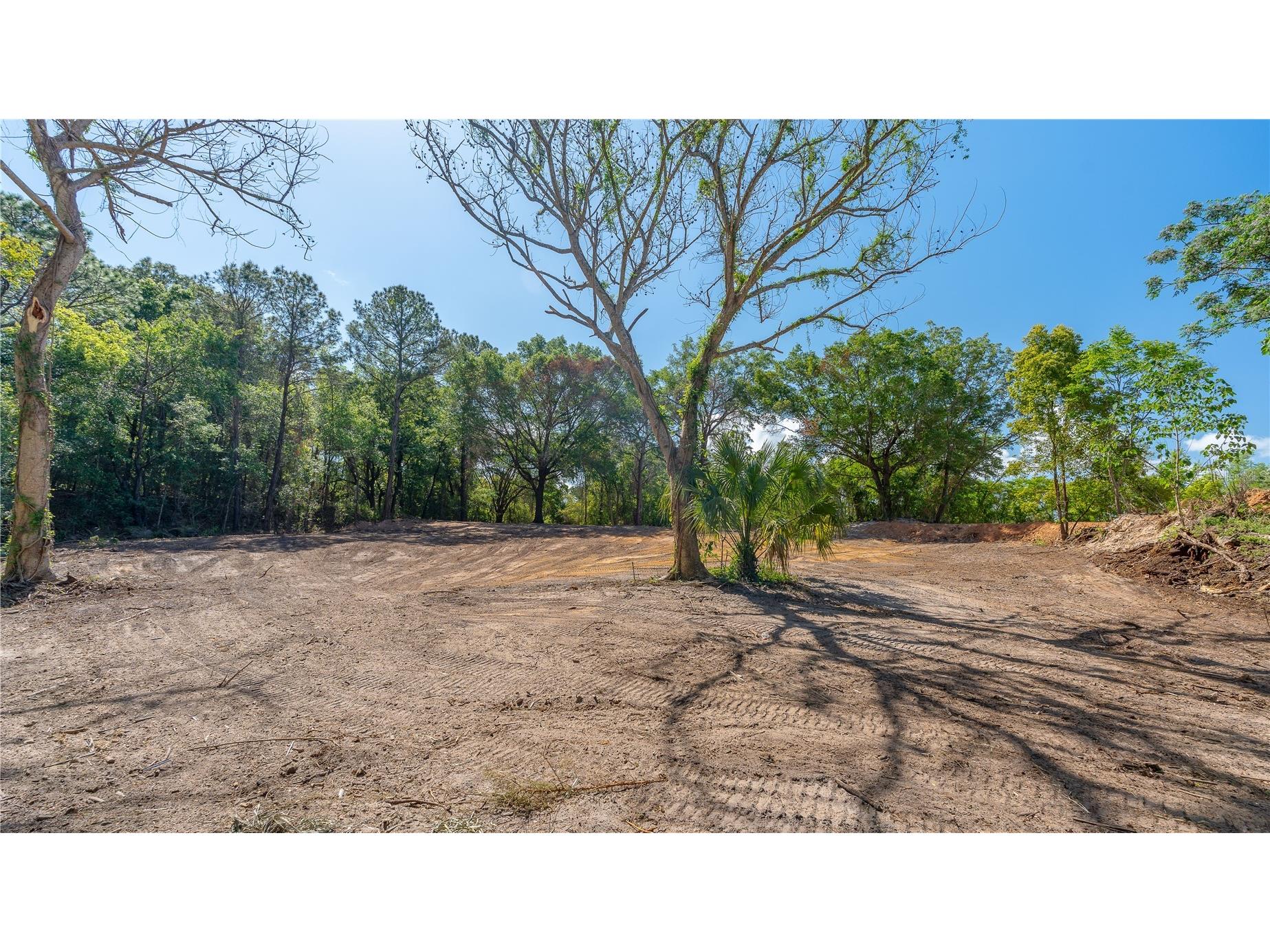 11500 SE 92nd Court Belleview FL 34420 OM722109 image14