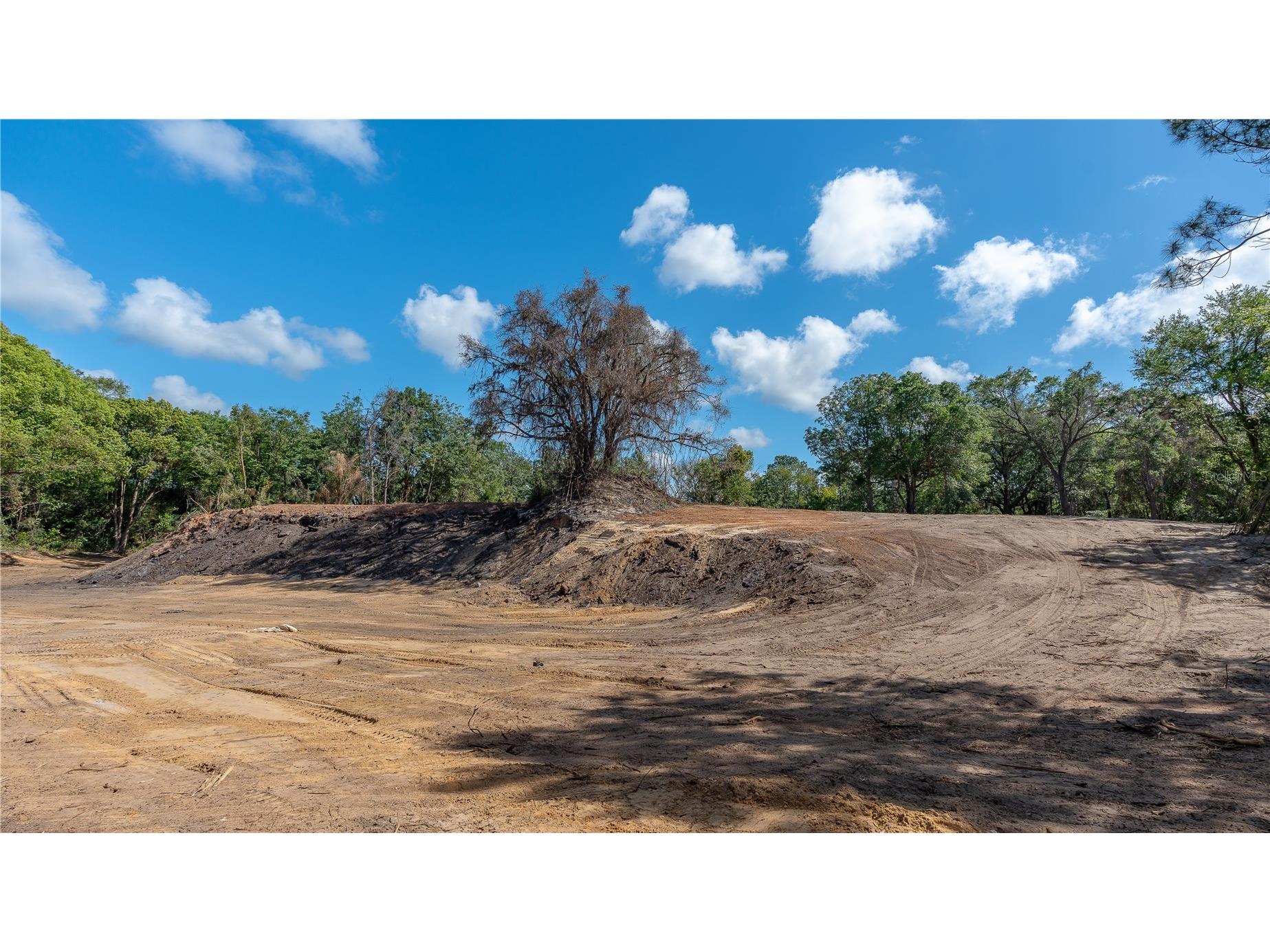 11500 SE 92nd Court Belleview FL 34420 OM722109 image15