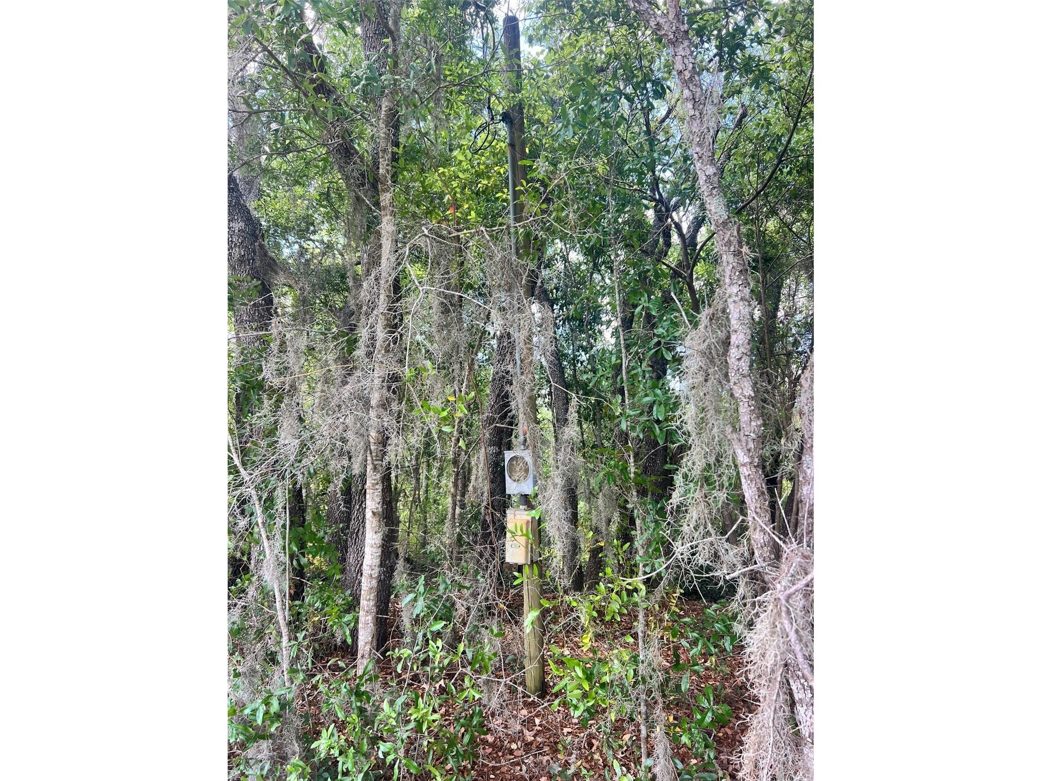 11500 SE 92nd Court Belleview FL 34420 OM722109 image20