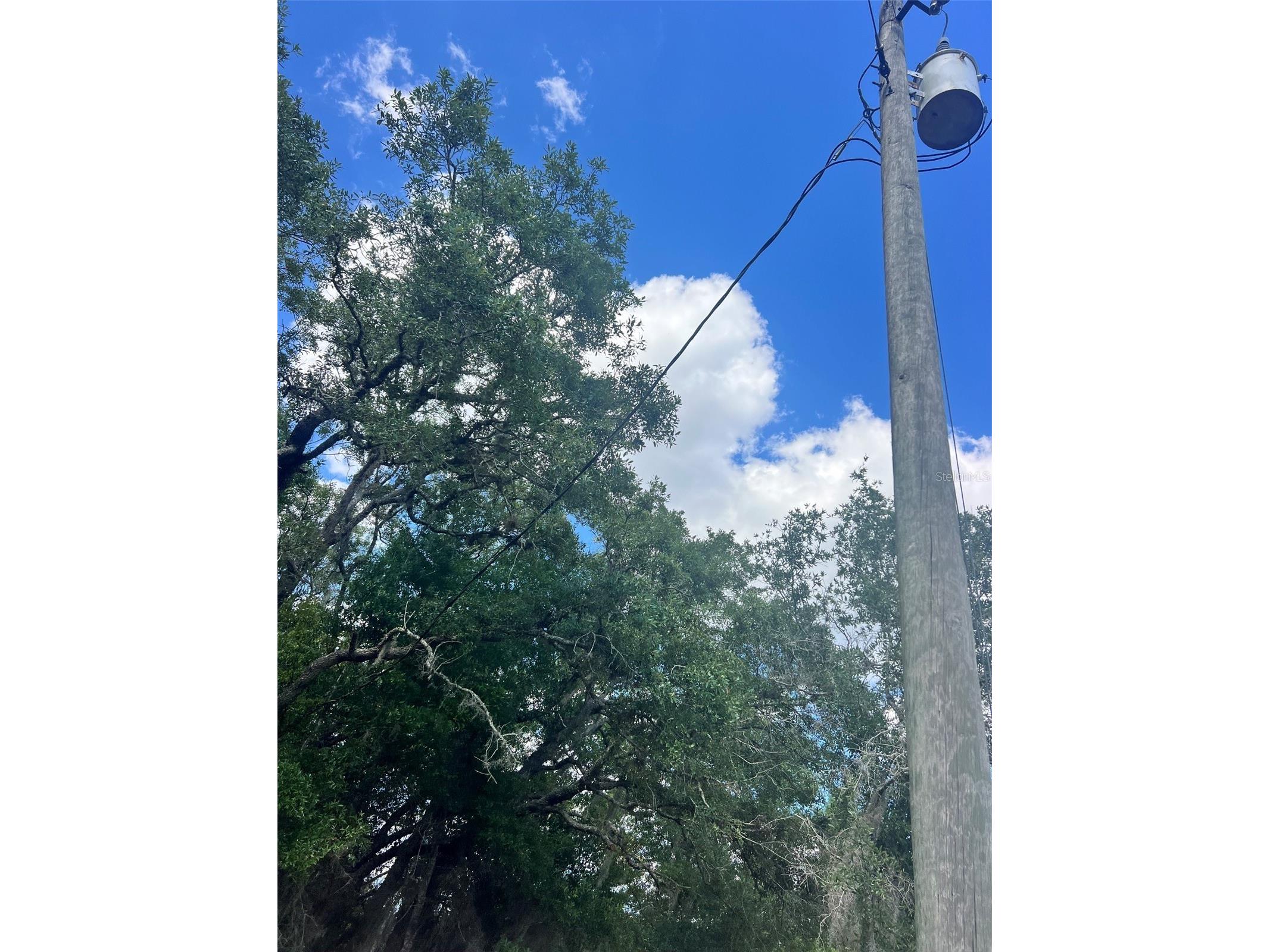 11500 SE 92nd Court Belleview FL 34420 OM722109 image21