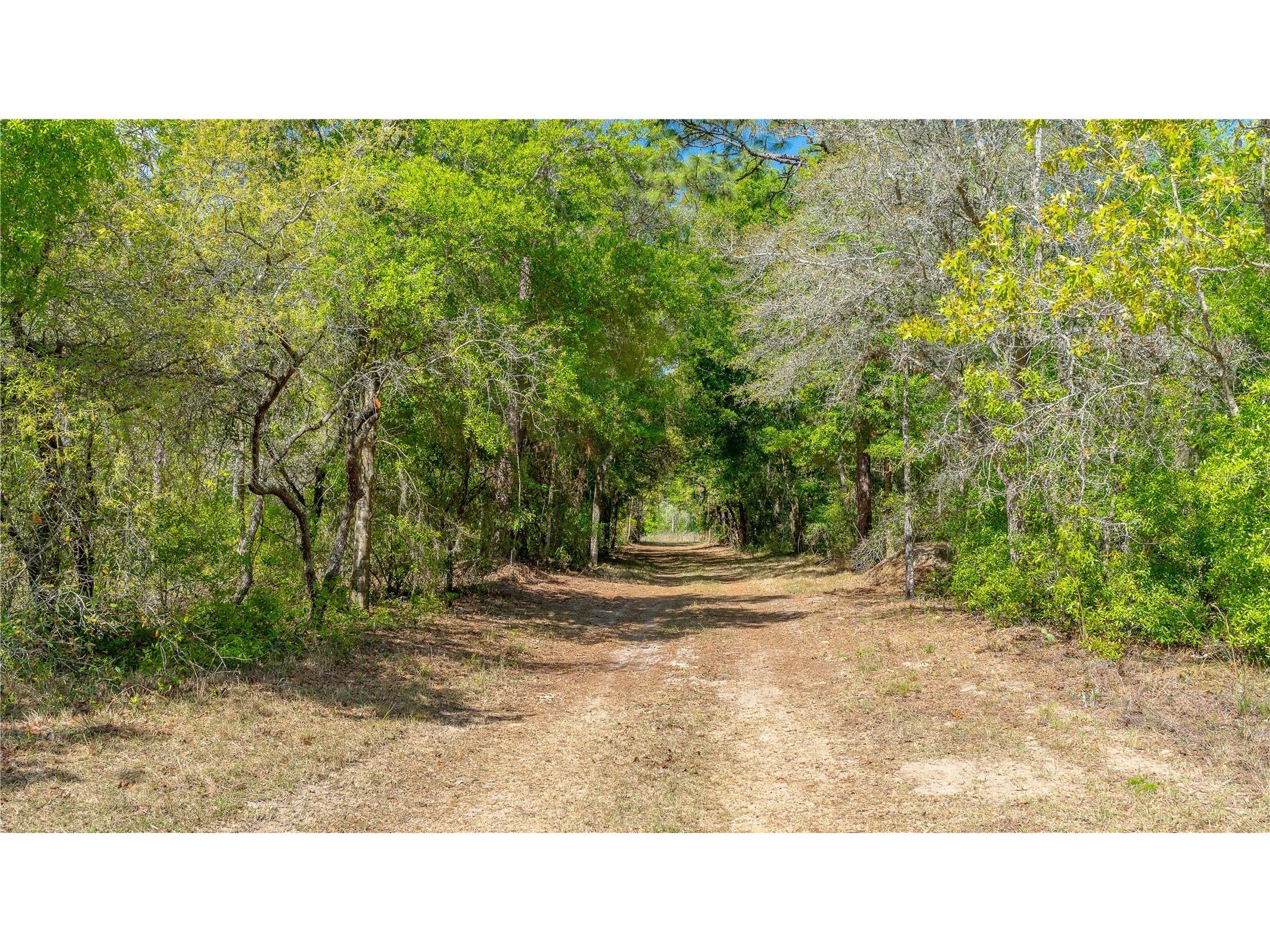 11500 SE 92nd Court Belleview FL 34420 OM722109 image7