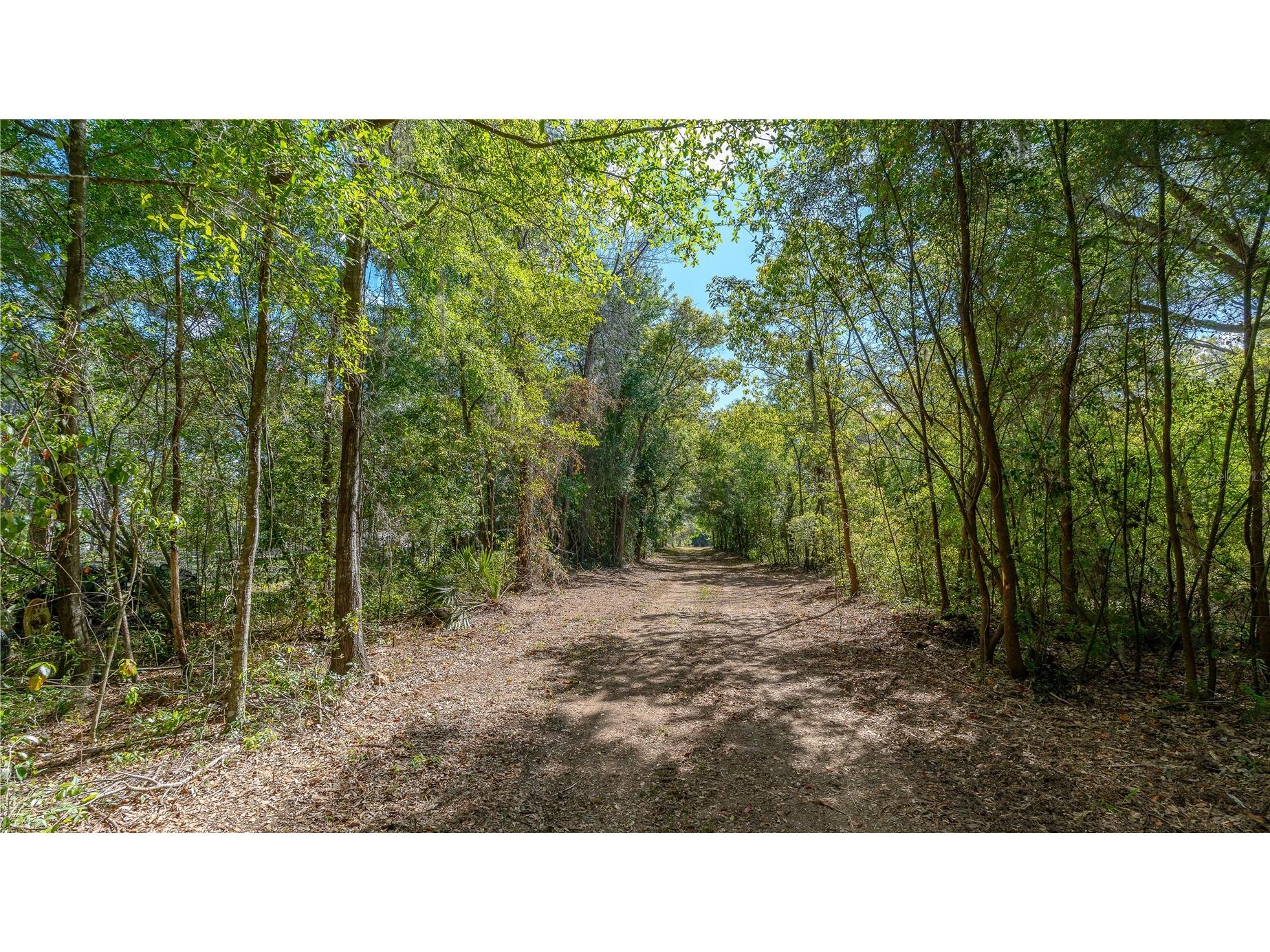 11500 SE 92nd Court Belleview FL 34420 OM722109 image8