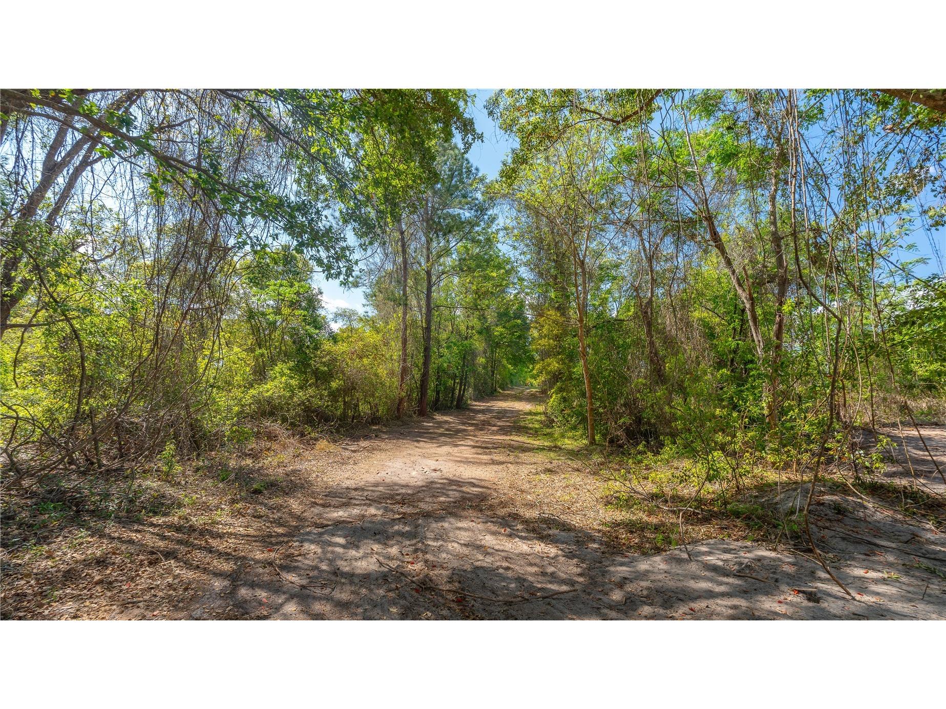 11500 SE 92nd Court Belleview FL 34420 OM722109 image9