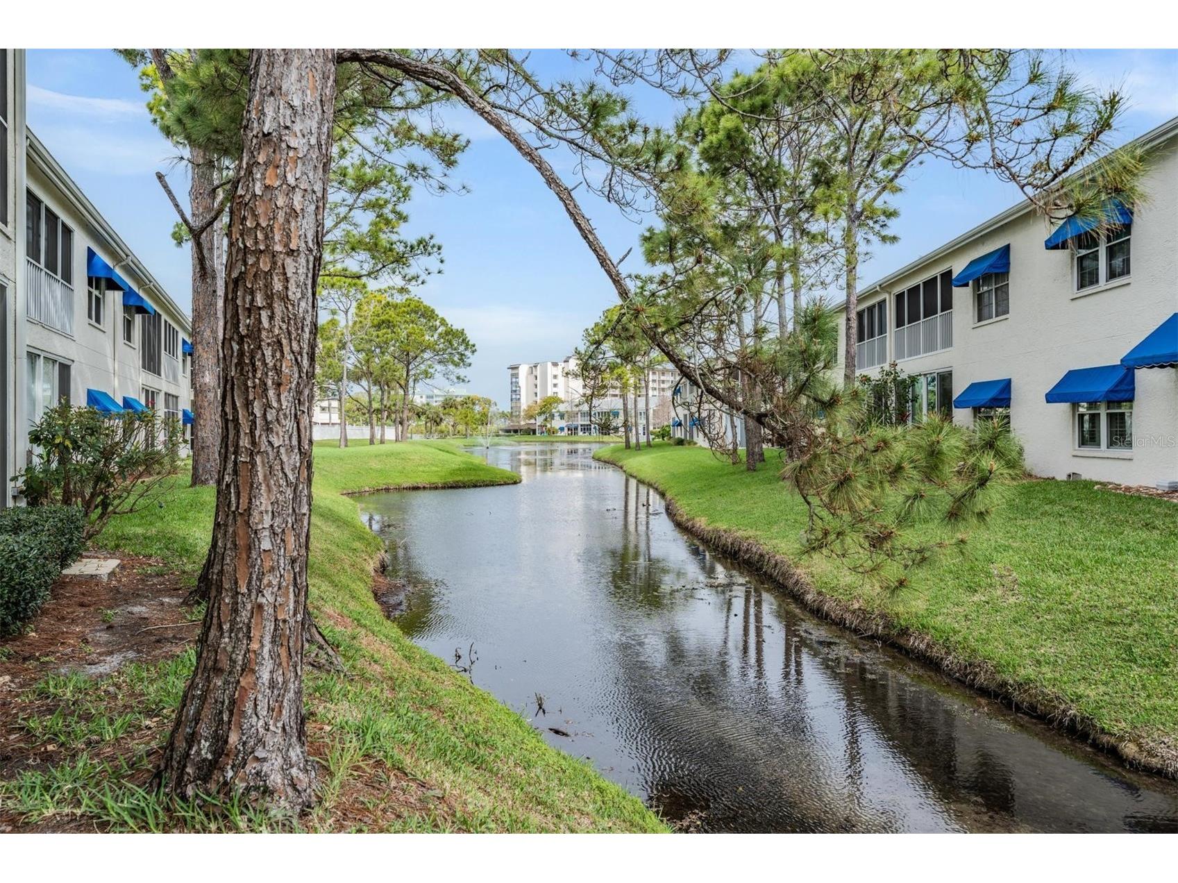 11500 Shipwatch Drive #1362 Largo FL 33774 TB8484270 image17