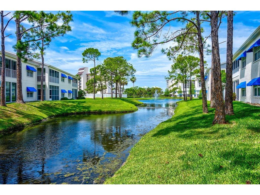 11500 Shipwatch Drive #1364 Largo FL 33774 TB8494530 image27