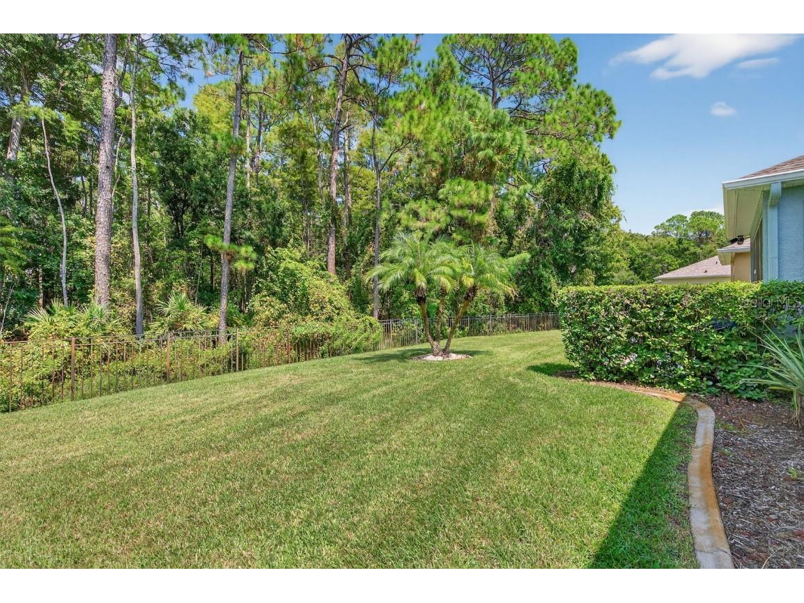 11501 Bloomington Court New Port Richey FL 34654 TB8433033 image14