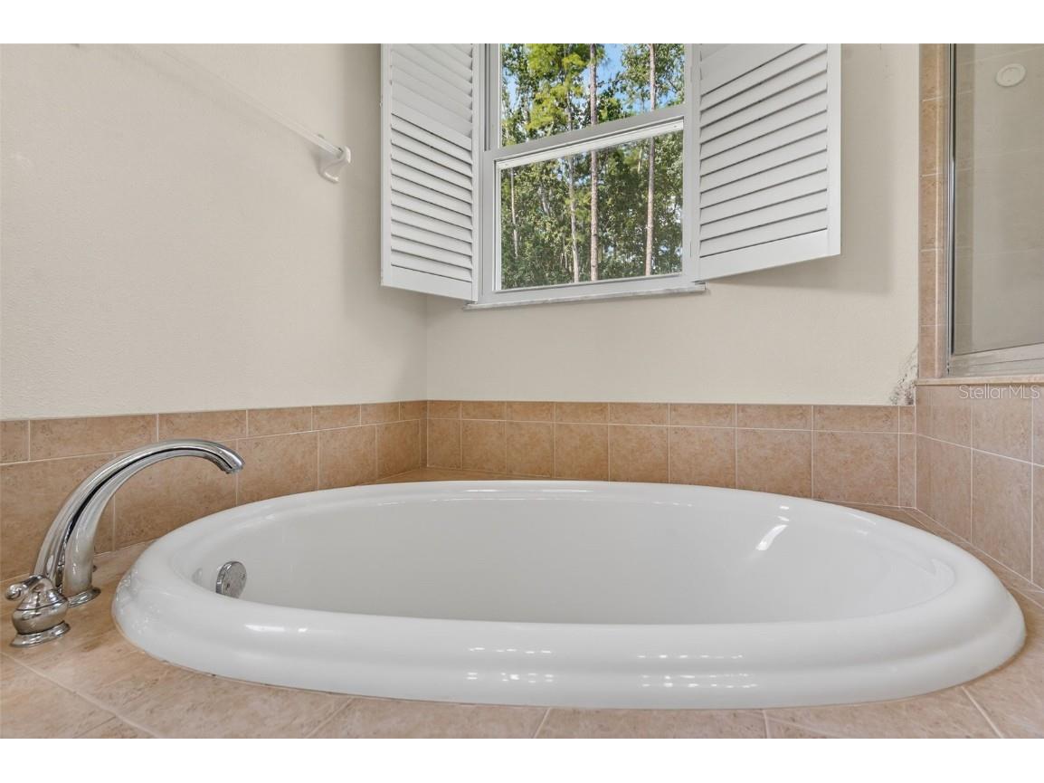 11501 Bloomington Court New Port Richey FL 34654 TB8433033 image56