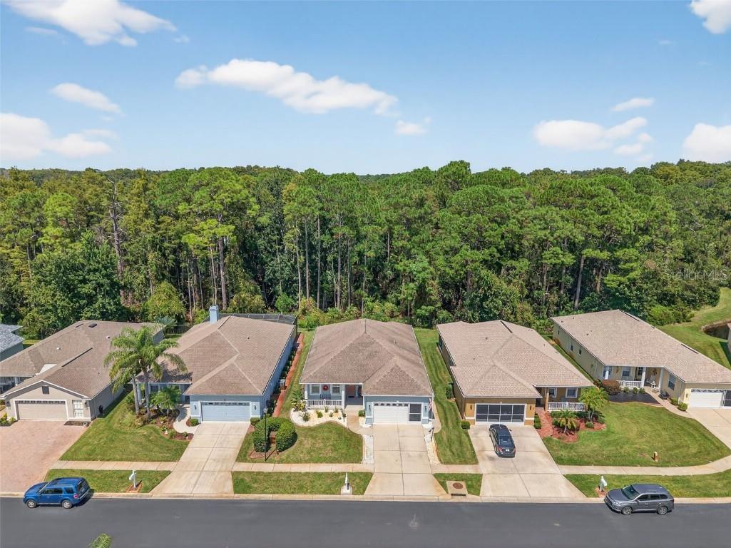 11501 Bloomington Court New Port Richey FL 34654 TB8433033 image59