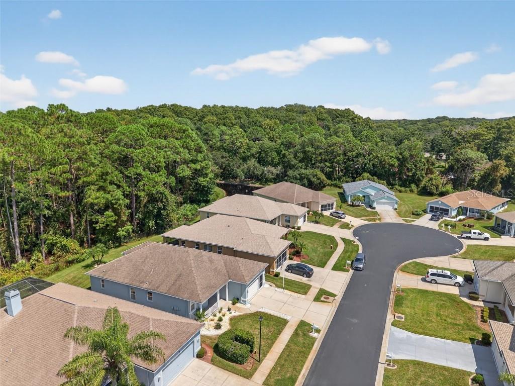 11501 Bloomington Court New Port Richey FL 34654 TB8433033 image60