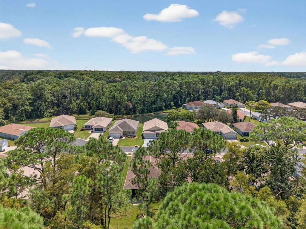 11501 Bloomington Court New Port Richey FL 34654 TB8433033 image61