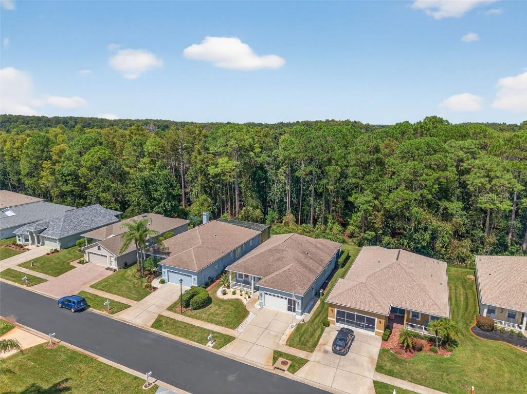 11501 Bloomington Court New Port Richey FL 34654 TB8433033 image62