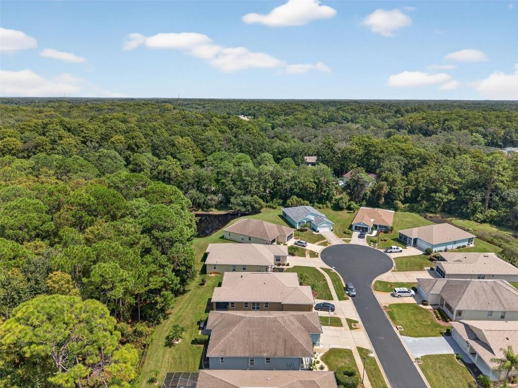 11501 Bloomington Court New Port Richey FL 34654 TB8433033 image64