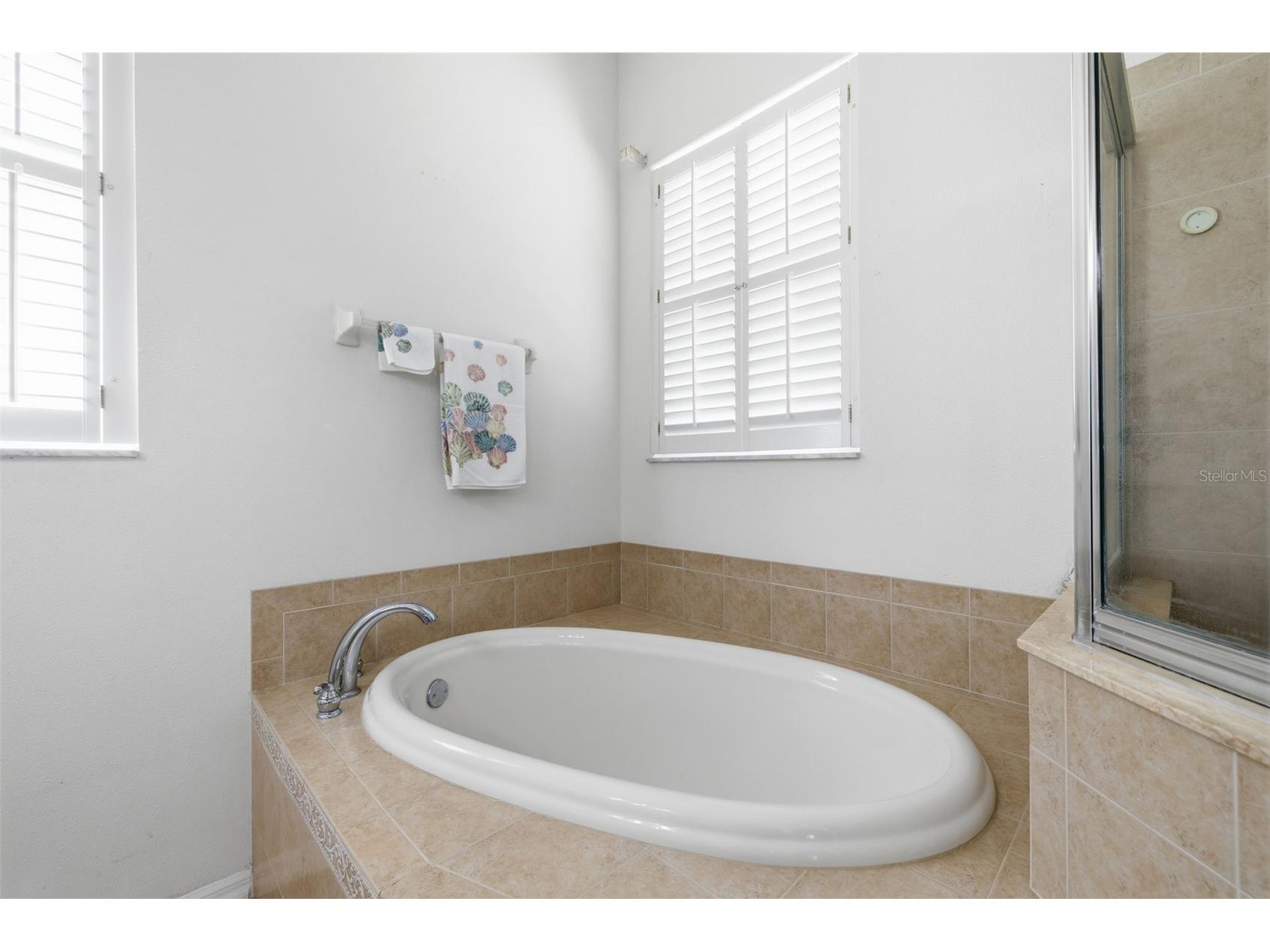 11501 Bloomington Court New Port Richey FL 34654 TB8518586 image21