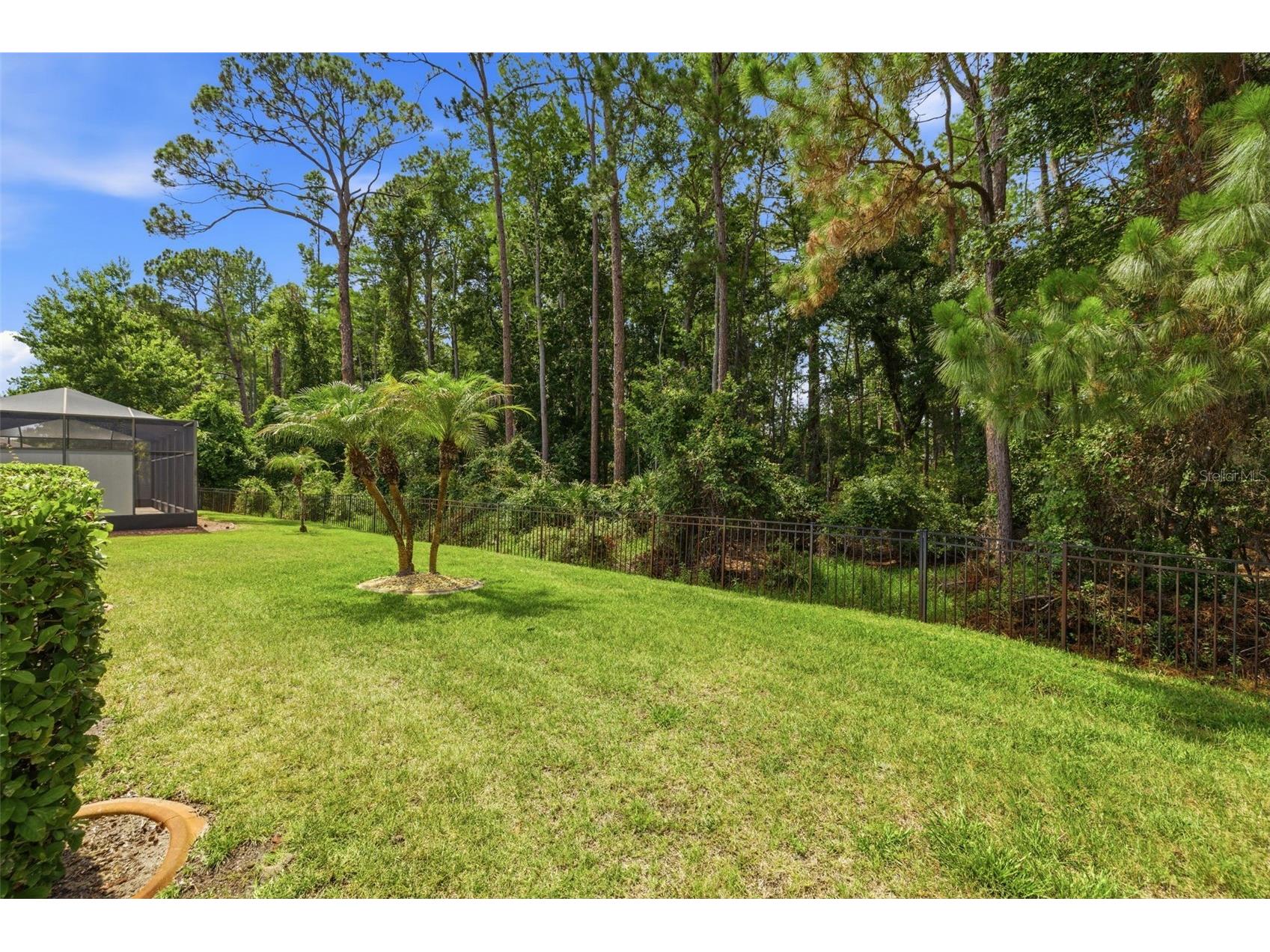 11501 Bloomington Court New Port Richey FL 34654 TB8518586 image32